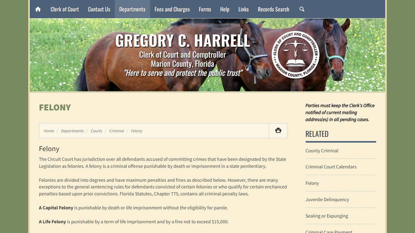 Felony - Marion County Clerk